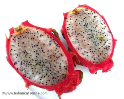 Dragon fruit open transversely