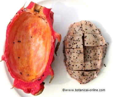 Preparation image of dragon fruit