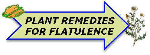 Plant remedies for flatulence