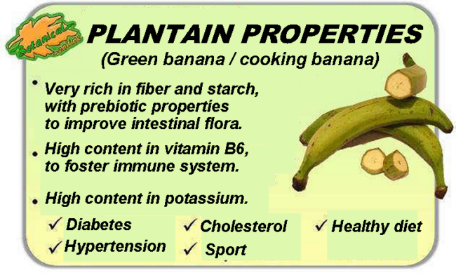 Plantain properties