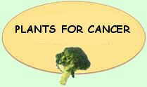 Plant remedies for cancer