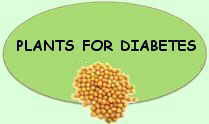 Remedios para la diabetes
