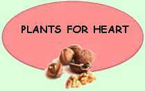 Medicinal plants for heart