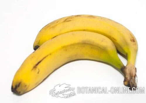 bananas