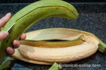 preparation green banana 
