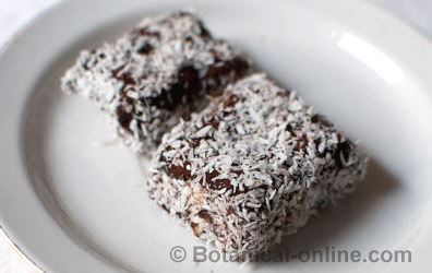 Brownie with grated coconut