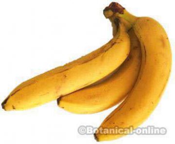 bananas