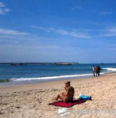 woman at the beach