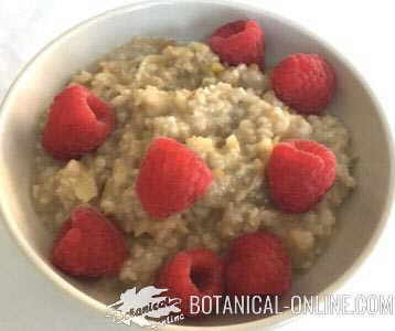 Oatmeal and apple porridge