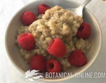 oats porridge with apple