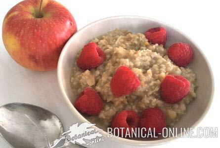 porridge of oatmeal with apple and lemon peel