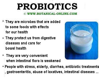 Main properties of probiotics.