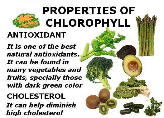propiedades curativas de la clorofila