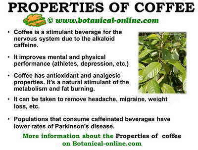 Properties of coffee