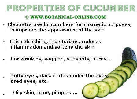 properties of cucumbers