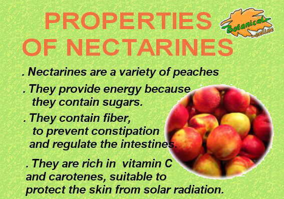 healing properties of nectarines