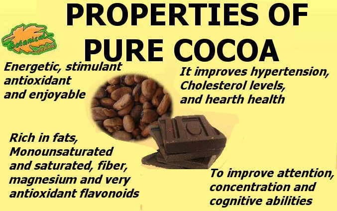  main nutritional properties of cocoa 