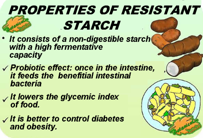 Properties of resistant stach