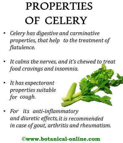 Properties celery