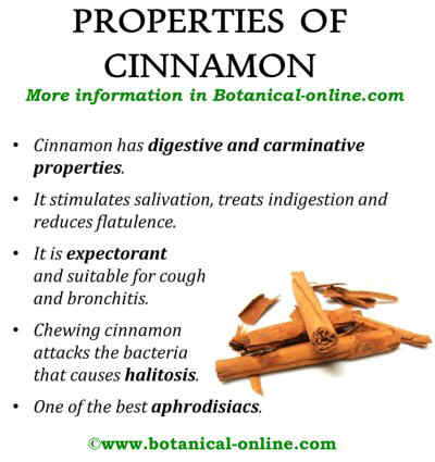 Properties of cinnamon