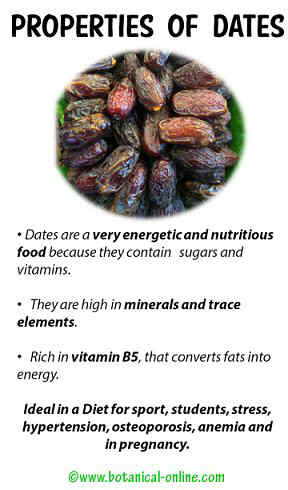 Date properties