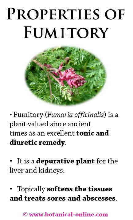 Properties of fumatory