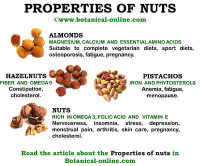 Properties of nuts