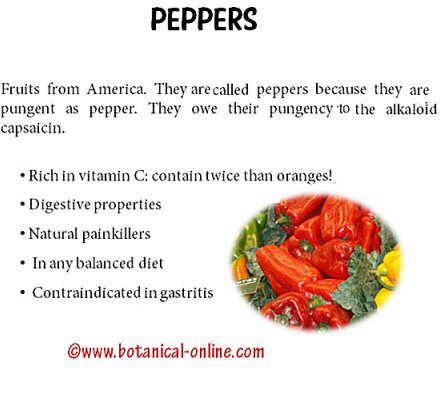 Properties of peppers