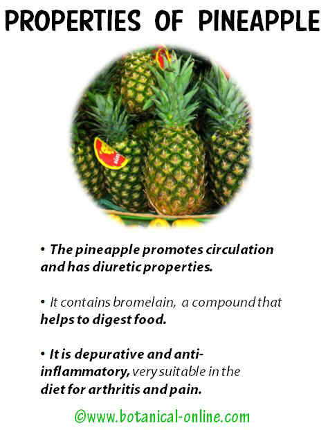 Properties pineapple