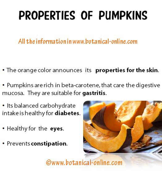 Properties pumpkins