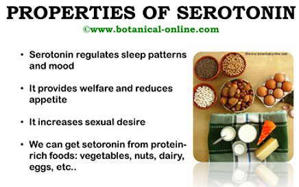 Properties of serotonin