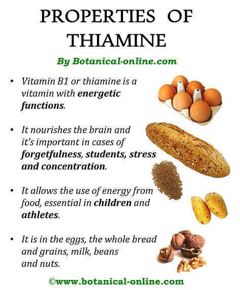 vitamin b1 foods