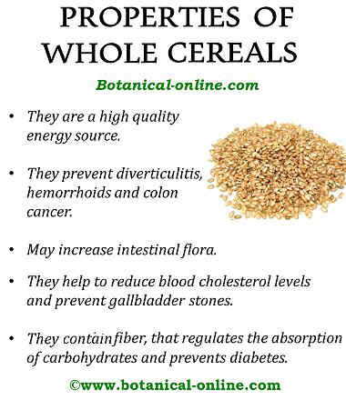 Properties of whole cereals