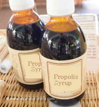 propolis syrup
