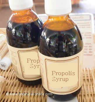 Propolis syrup