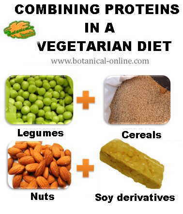 proteinas vegetales