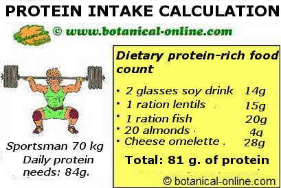 Example of dietary calculation of foods rich in protein