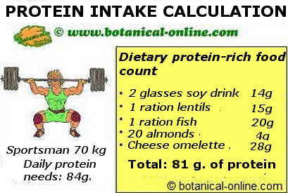 calcular requerimientos de proteina para deportista en el deporte