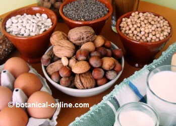 foods rich in proteins in a ovovegetarian diet