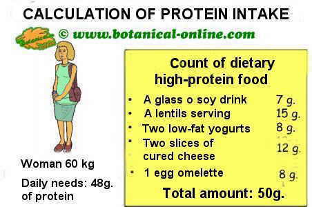 calculation intake of dietary foods rich in protein