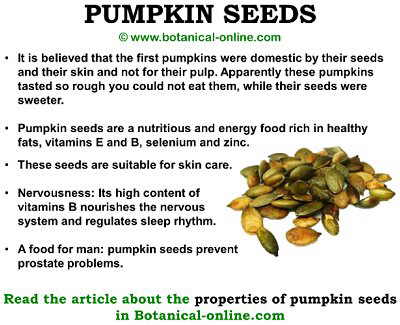 Pumpkin seeds properties