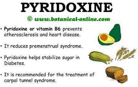 Pyridoxine vitamin b6 benefits and properties