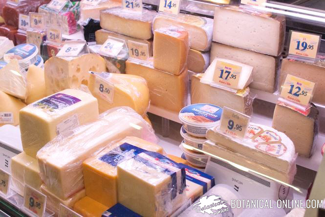 Different types of cheese and other dairy products