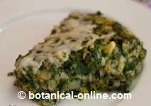 Dandelion quiche