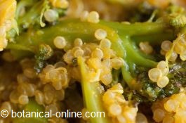 texture of quinoa with broccoli and curry