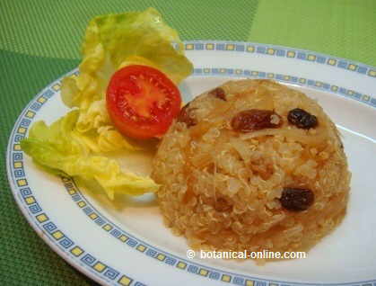 quinoa with onion and raisins