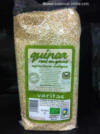quinoa grain
