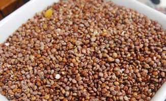 Photo of quinoa or quinua