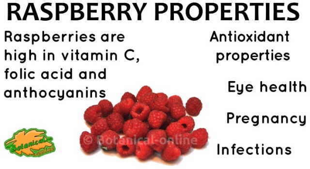 raspberry properties