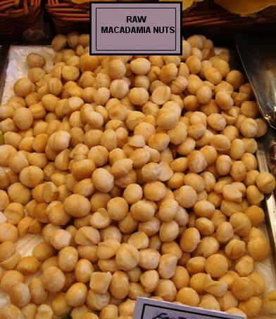 Photography of raw macadamias as sold in stores.